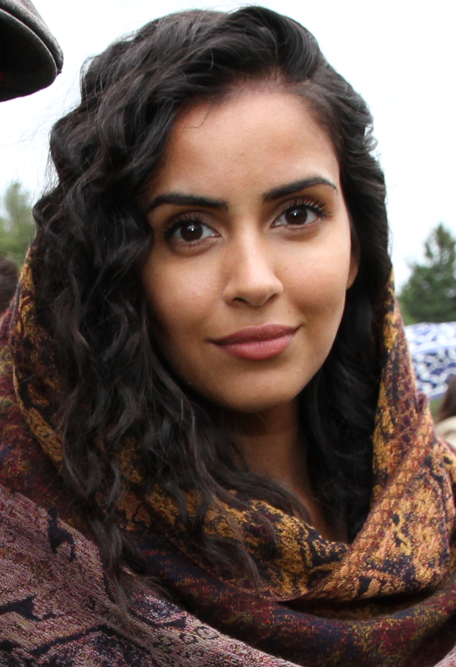Parveen Kaur, Acteur