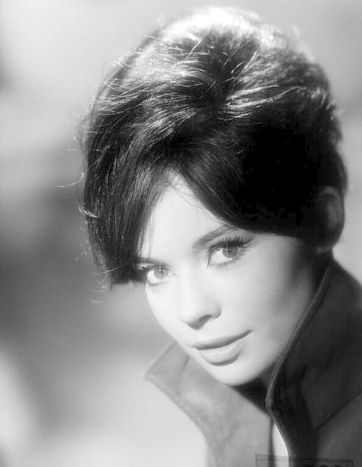 Pascale Petit, Acteur