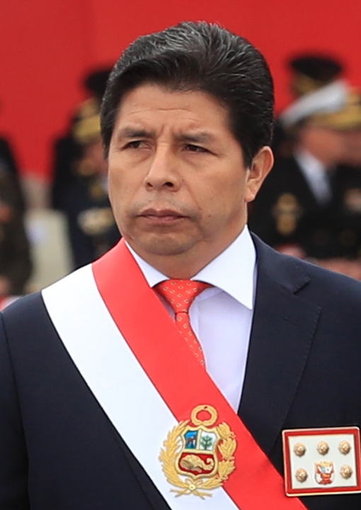 Pedro Castillo, Personnalité politique