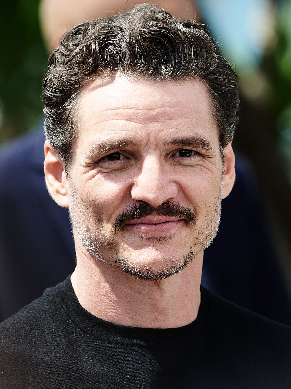 Pedro Pascal, Acteur
