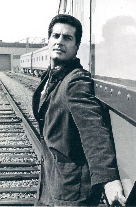 Peter Lupus, Acteur