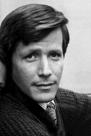 Peter Strauss, Acteur