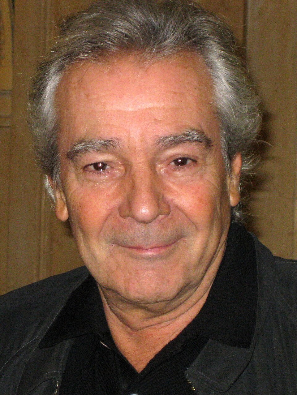 Pierre Arditi, Acteur