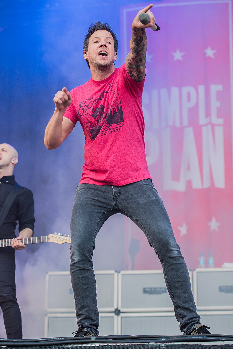 Pierre Bouvier, Musicien