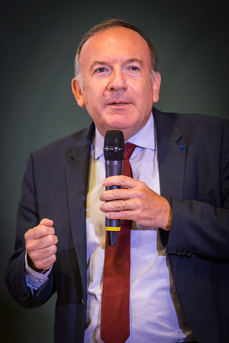 Pierre Gattaz, Entrepreneur