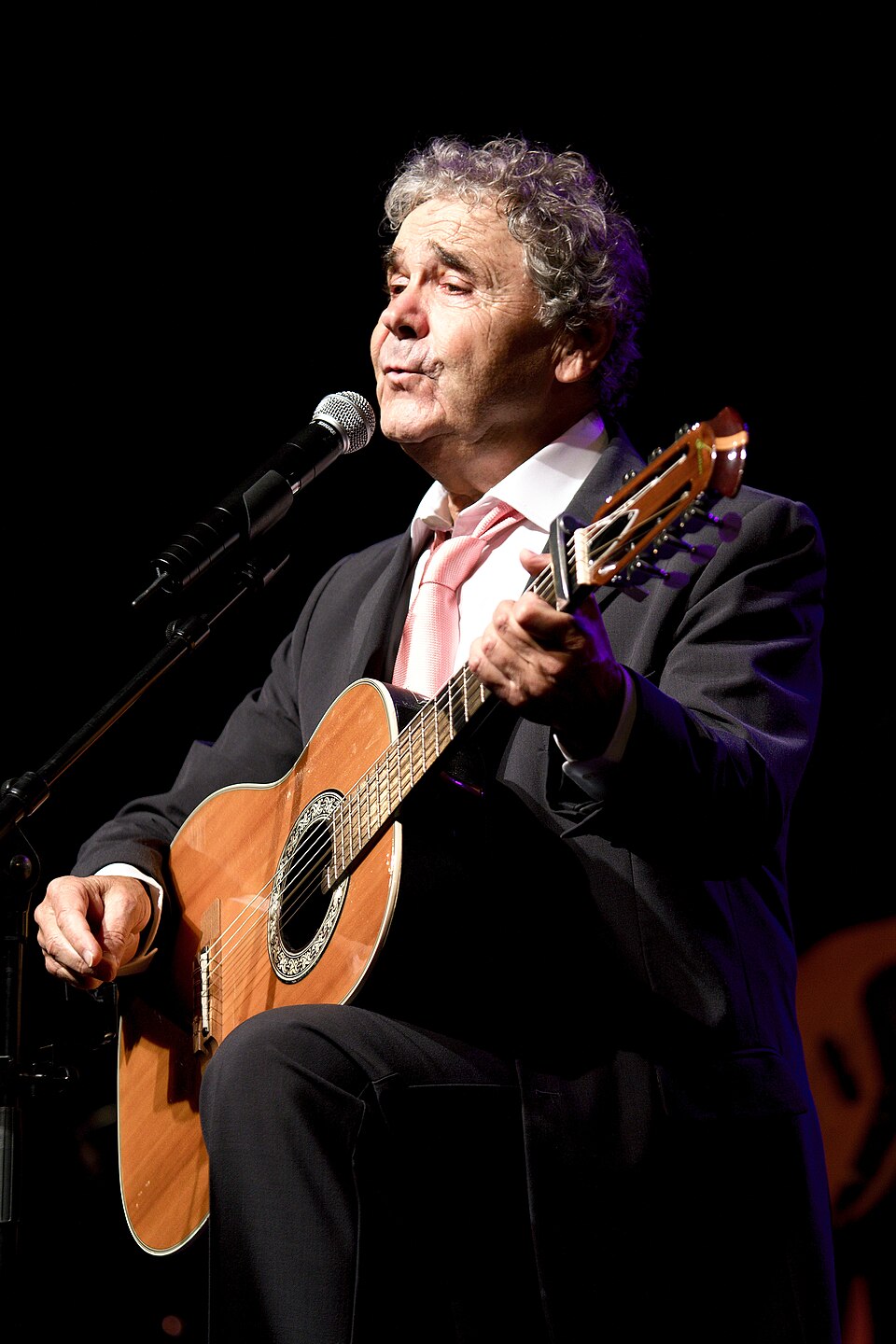 Pierre Perret, Chanteur