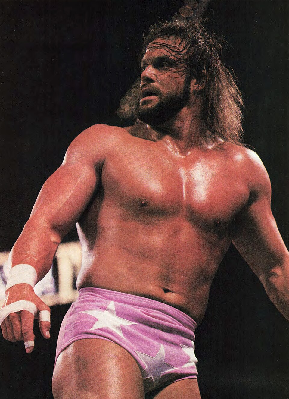 Randy Savage, Catcheur