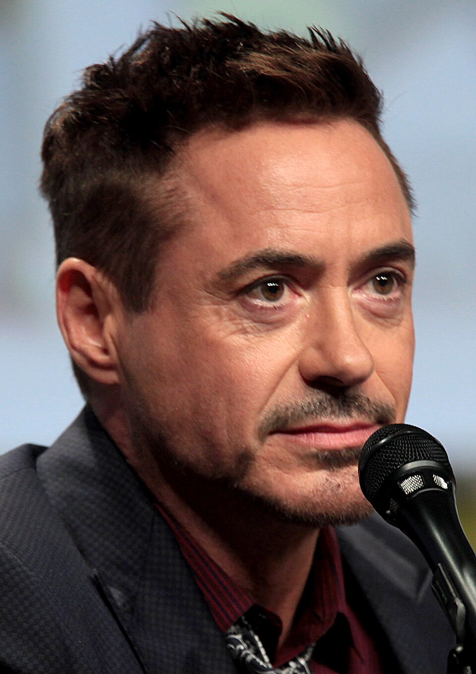 Robert Downey Jr., Acteur