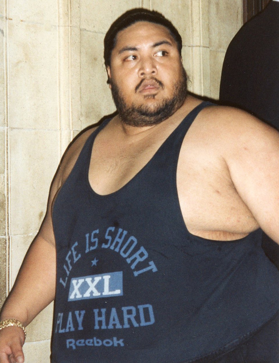 Rodney Anoa'i, Catcheur