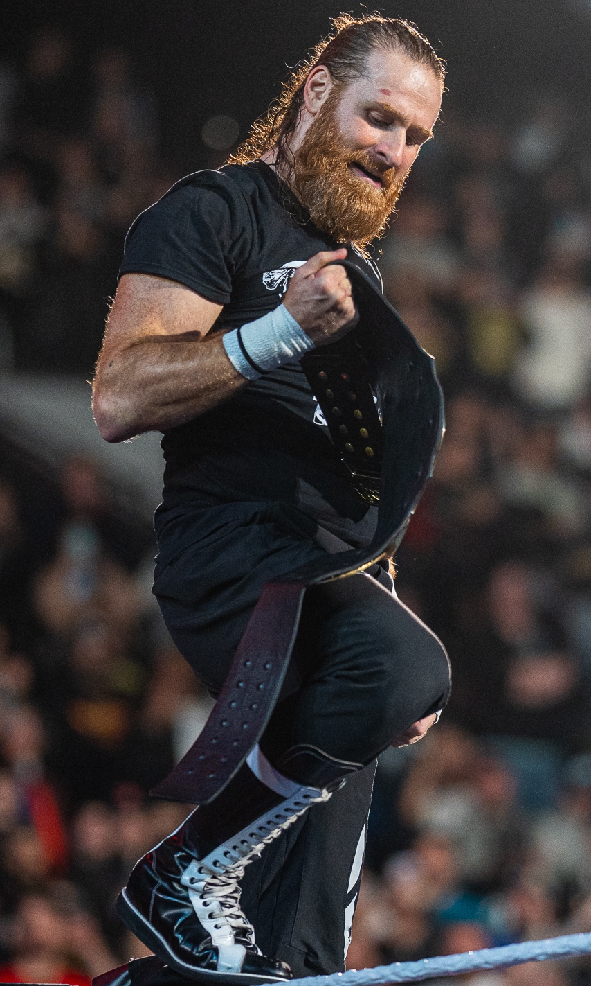 Sami Zayn, Catcheur