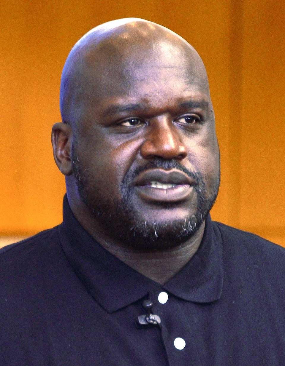 Shaquille O'Neal, Basketteur