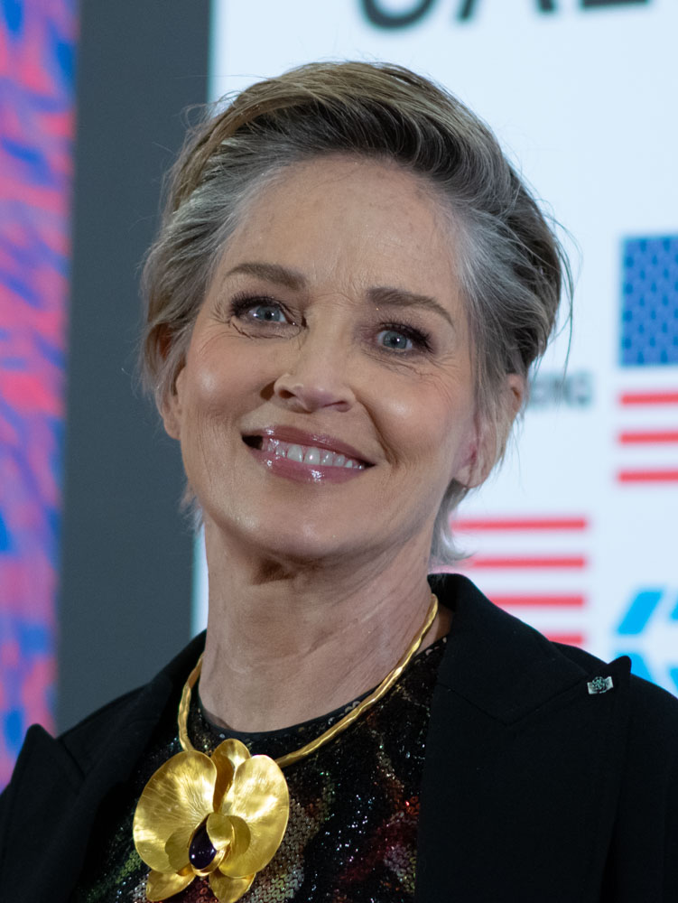 Sharon Stone, Acteur