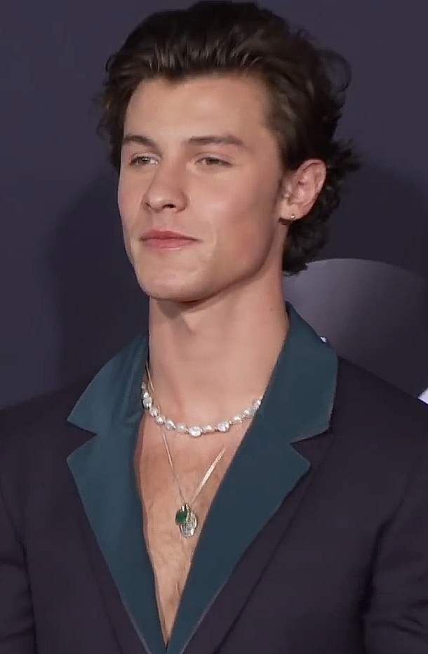 Shawn Mendes, Chanteur