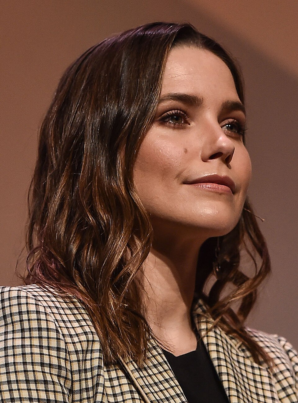 Sophia Bush, Acteur