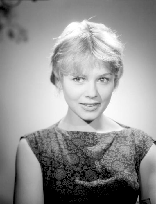 Sophie Daumier, Acteur