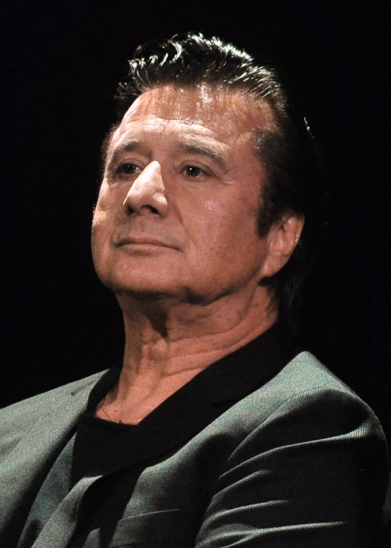 Steve Perry, Chanteur