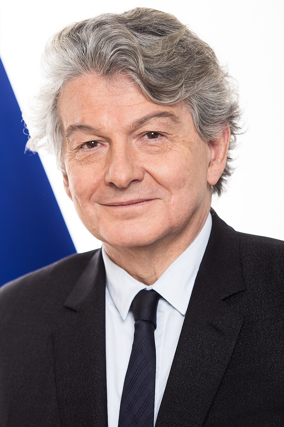 Thierry Breton, Personnalité politique
