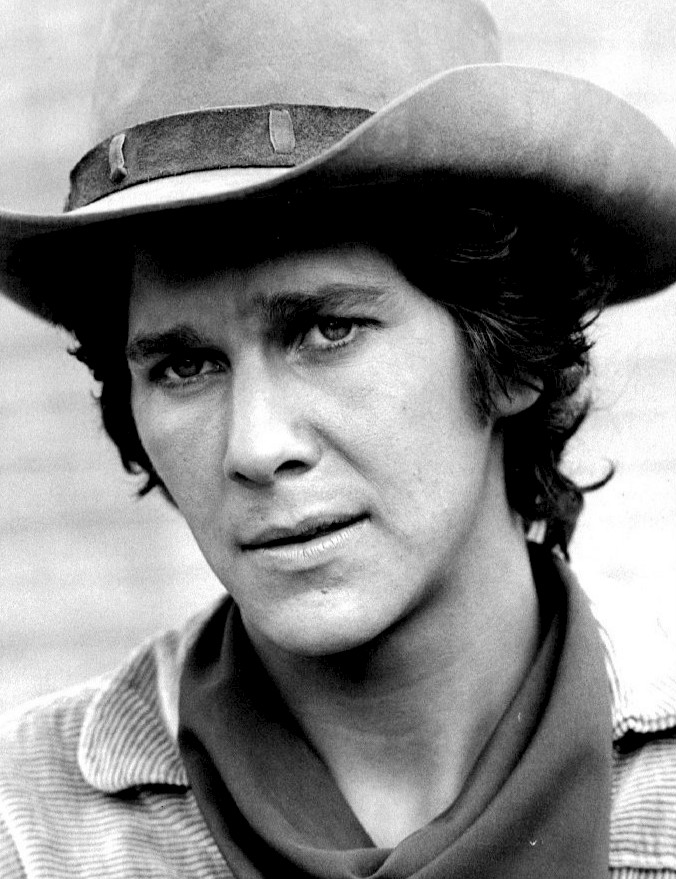 Tim Matheson, Acteur