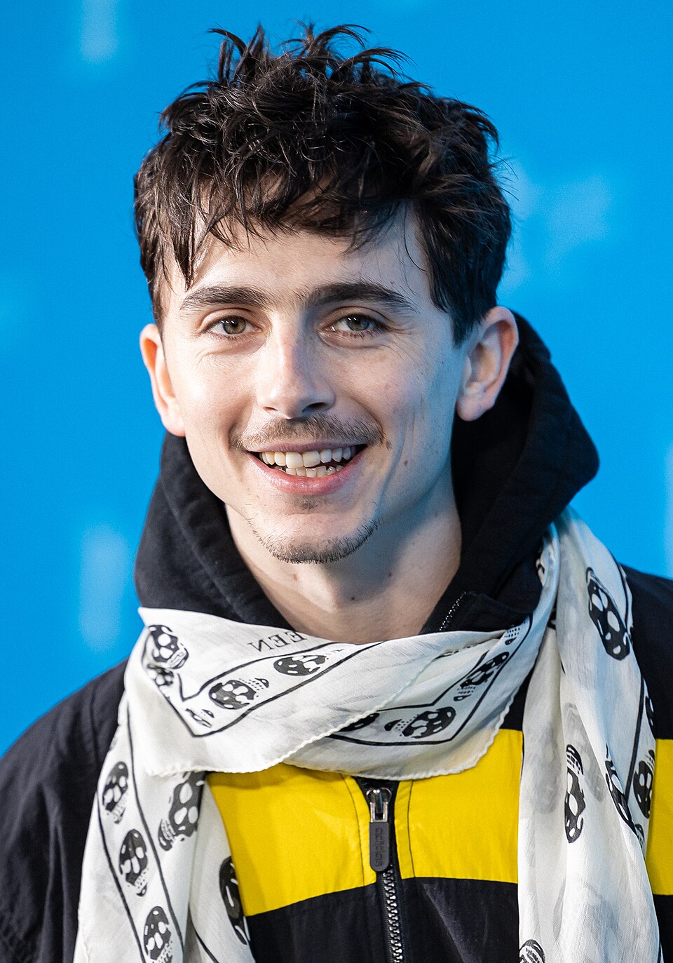 Timothée Chalamet, Acteur