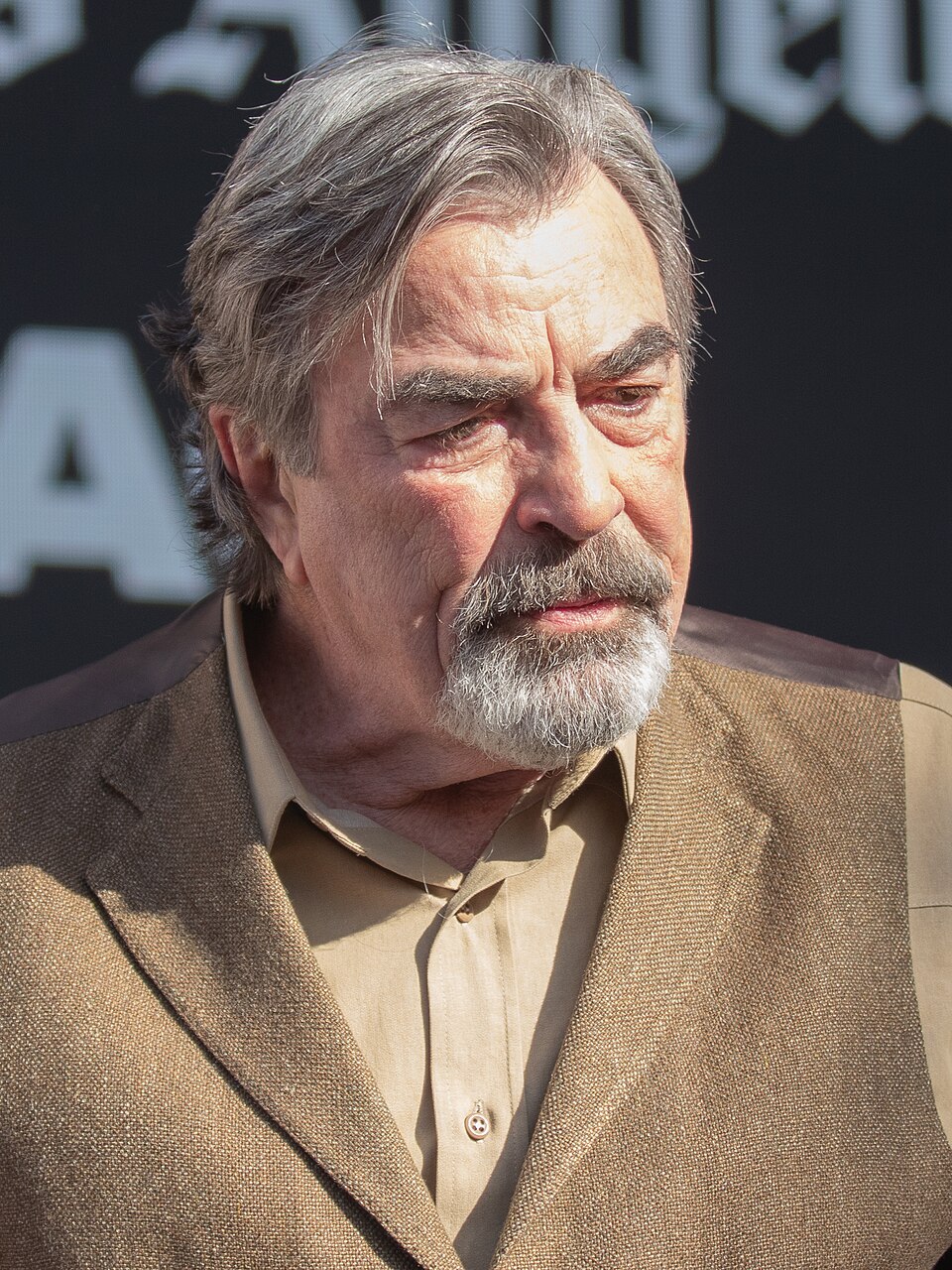 Tom Selleck, Acteur