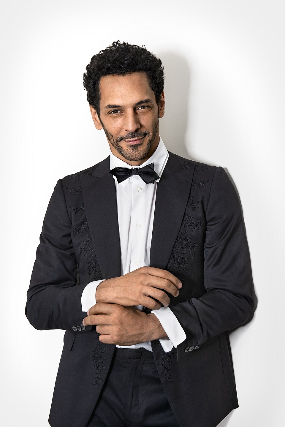 Tomer Sisley, Acteur