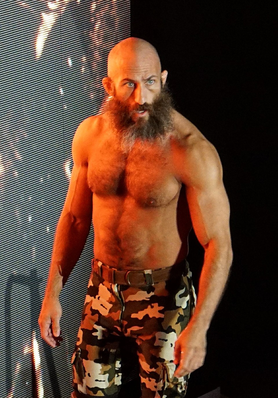 Tommaso Ciampa, Catcheur