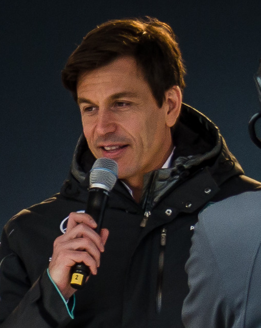 Toto Wolff, Pilote