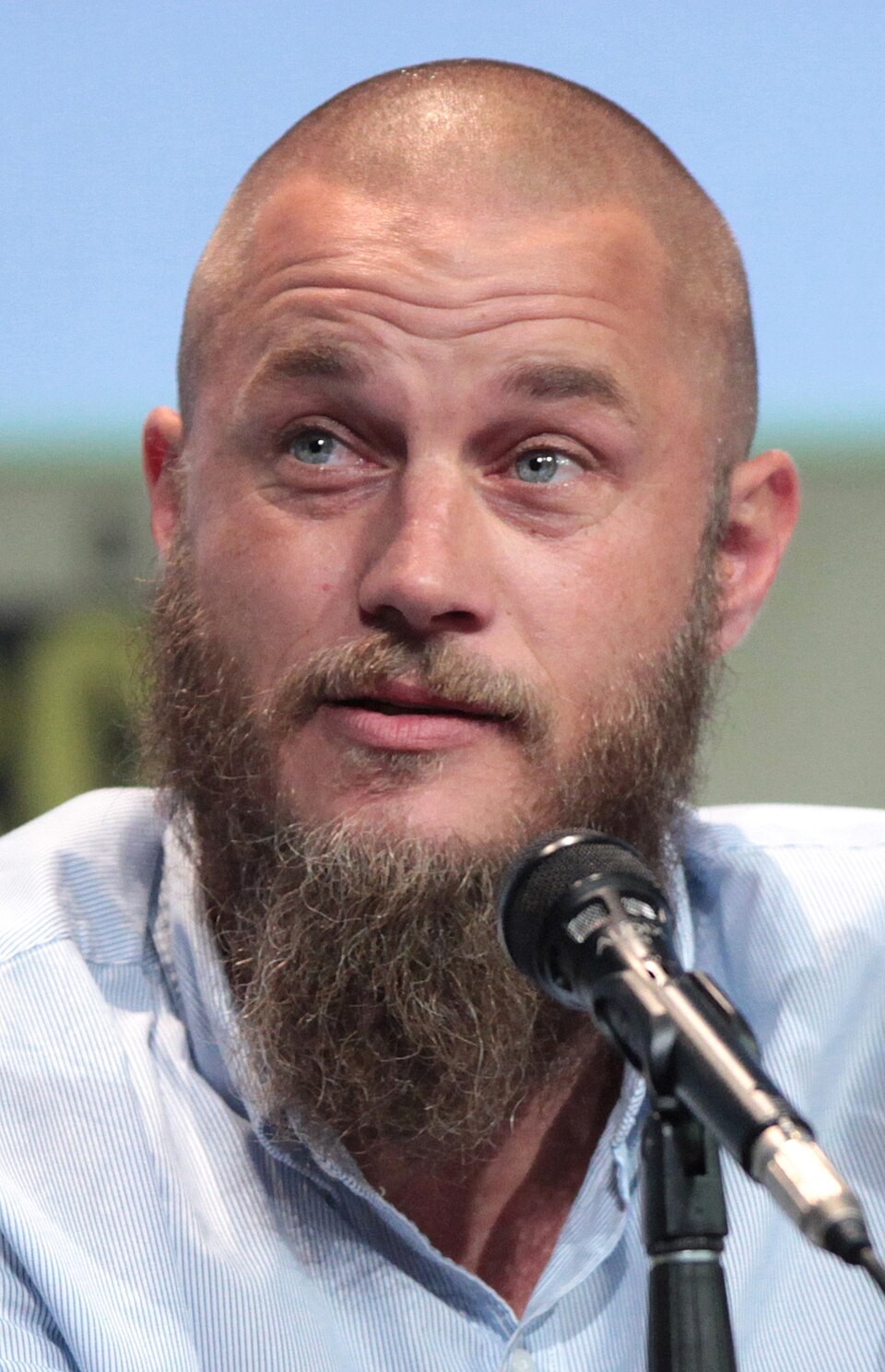Travis Fimmel, Acteur