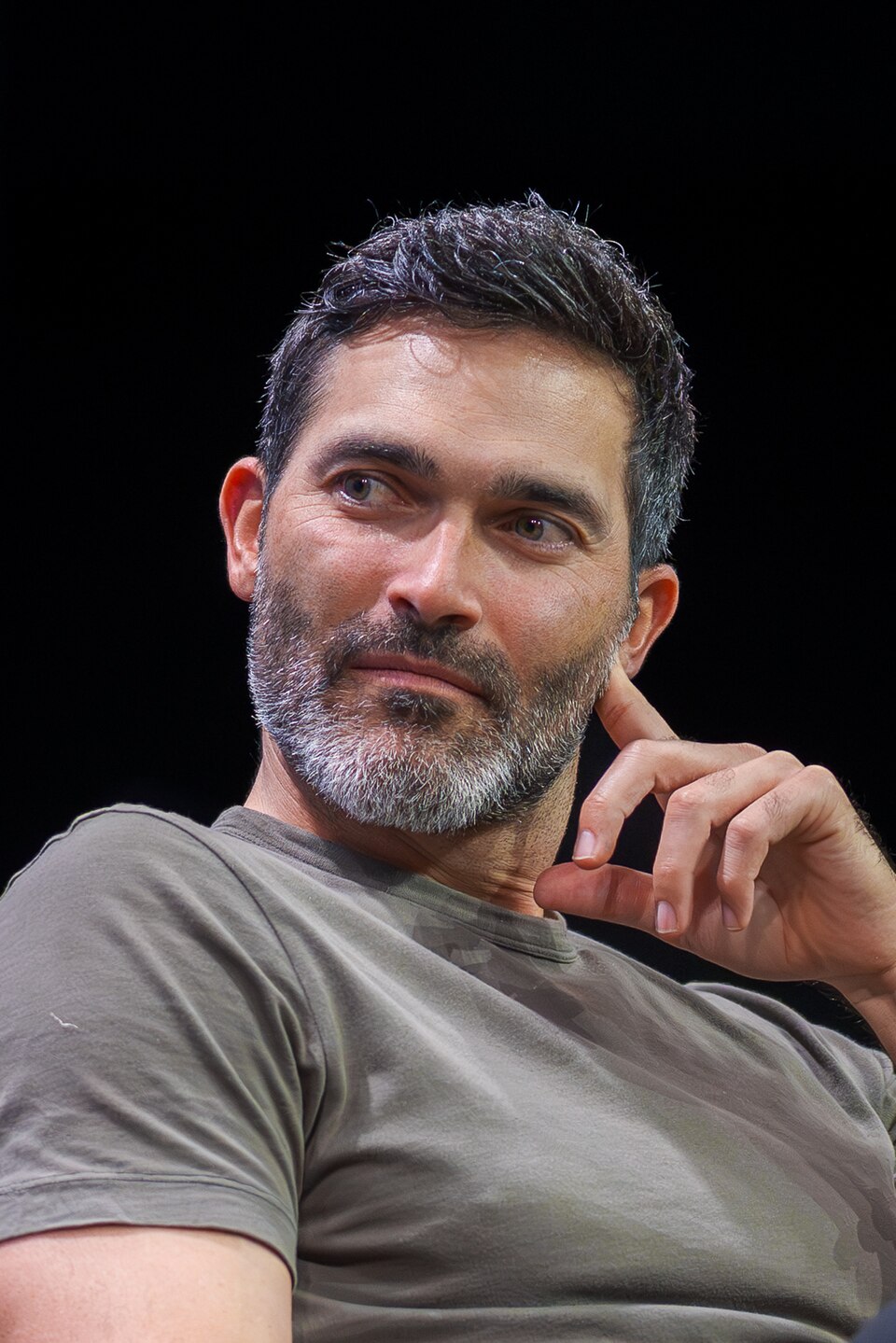 Tyler Hoechlin, Acteur