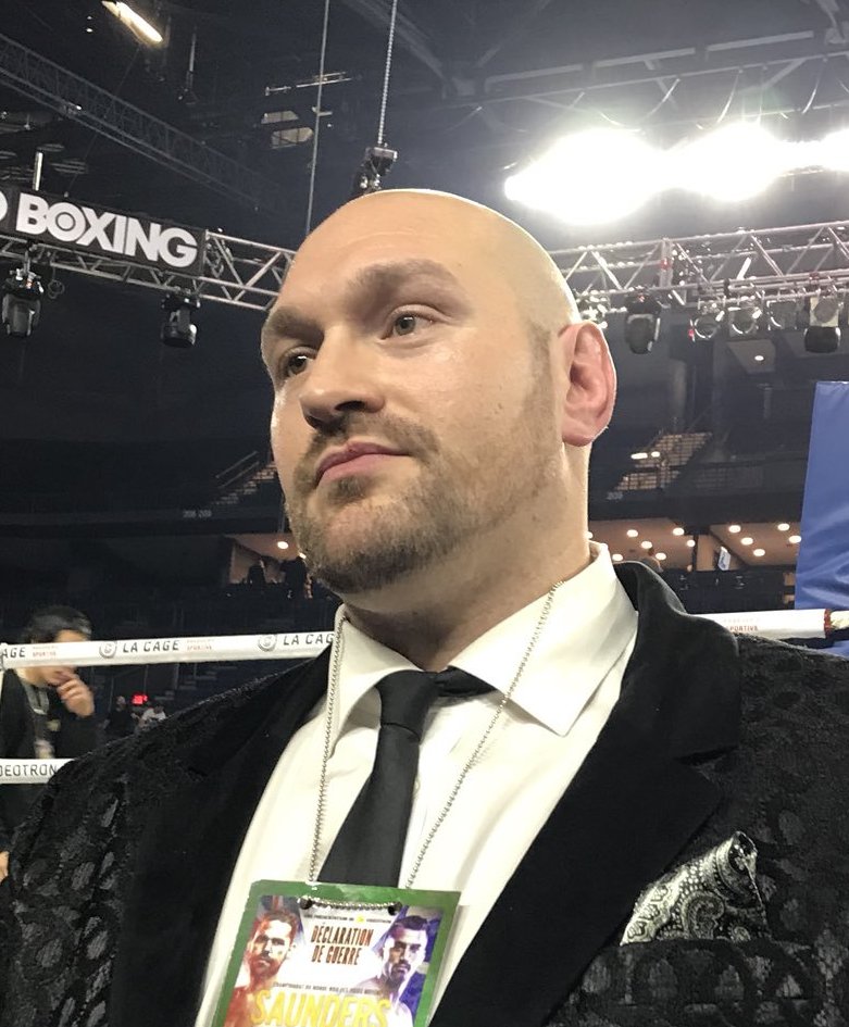 Tyson Fury, Sportif