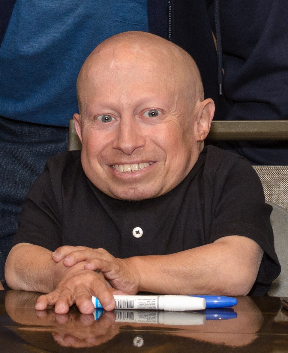 Verne Troyer, Acteur