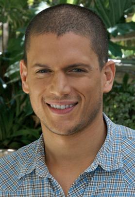 Wentworth Miller, Acteur