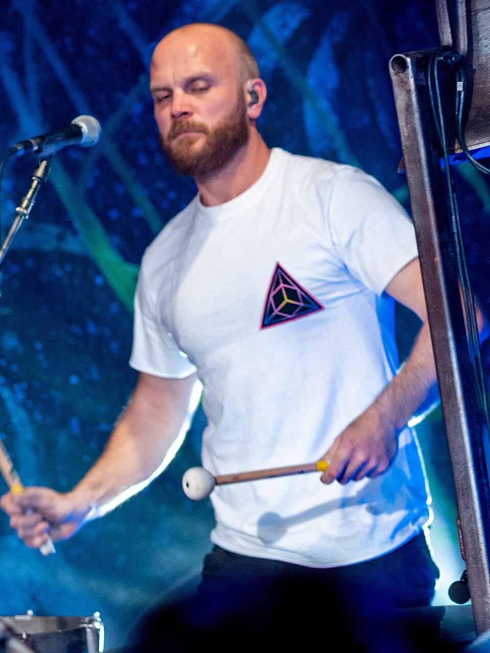 Will Champion, Musicien