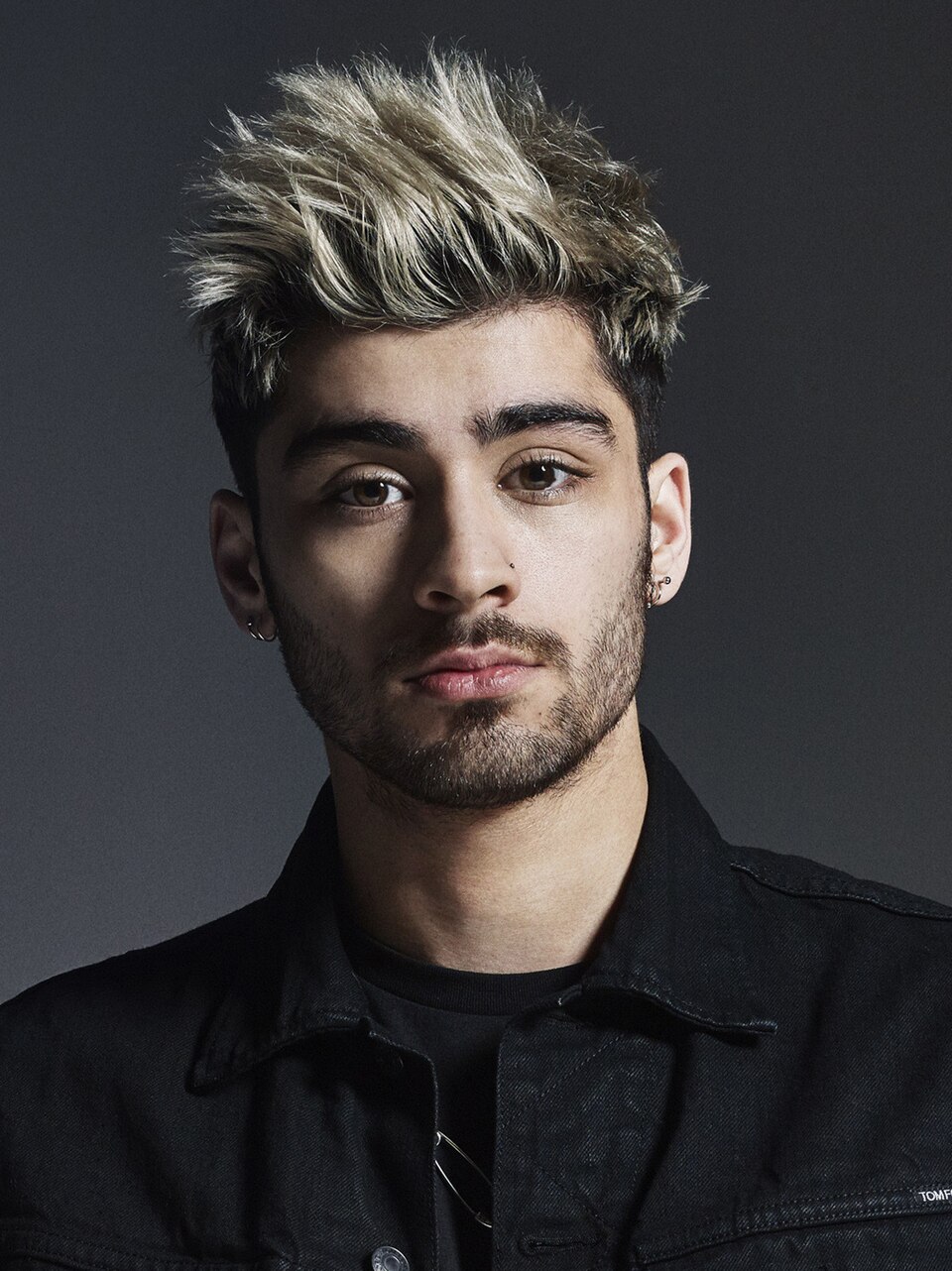 Zayn, Chanteur